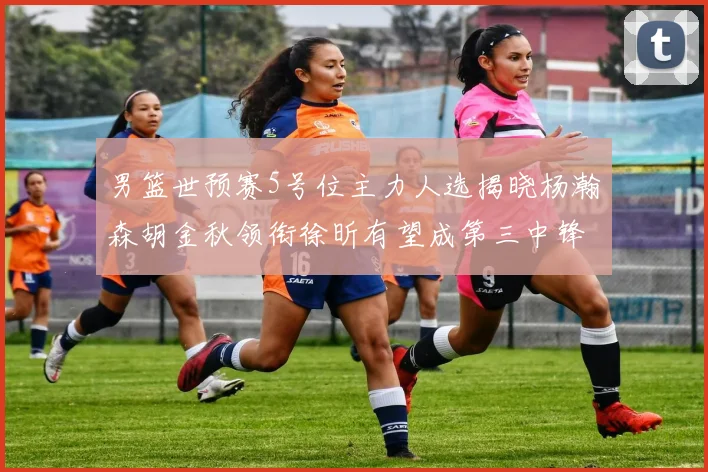男篮世预赛5号位主力人选揭晓杨瀚森胡金秋领衔徐昕有望成第三中锋
