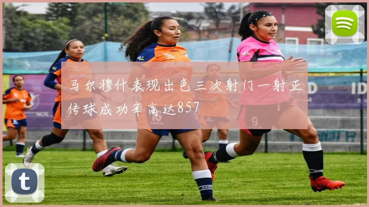马尔穆什表现出色三次射门一射正传球成功率高达857