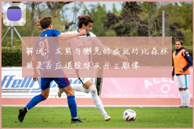 解说：灰熊与獭兔的成就对比森林狼是否应退役球衣并立雕像